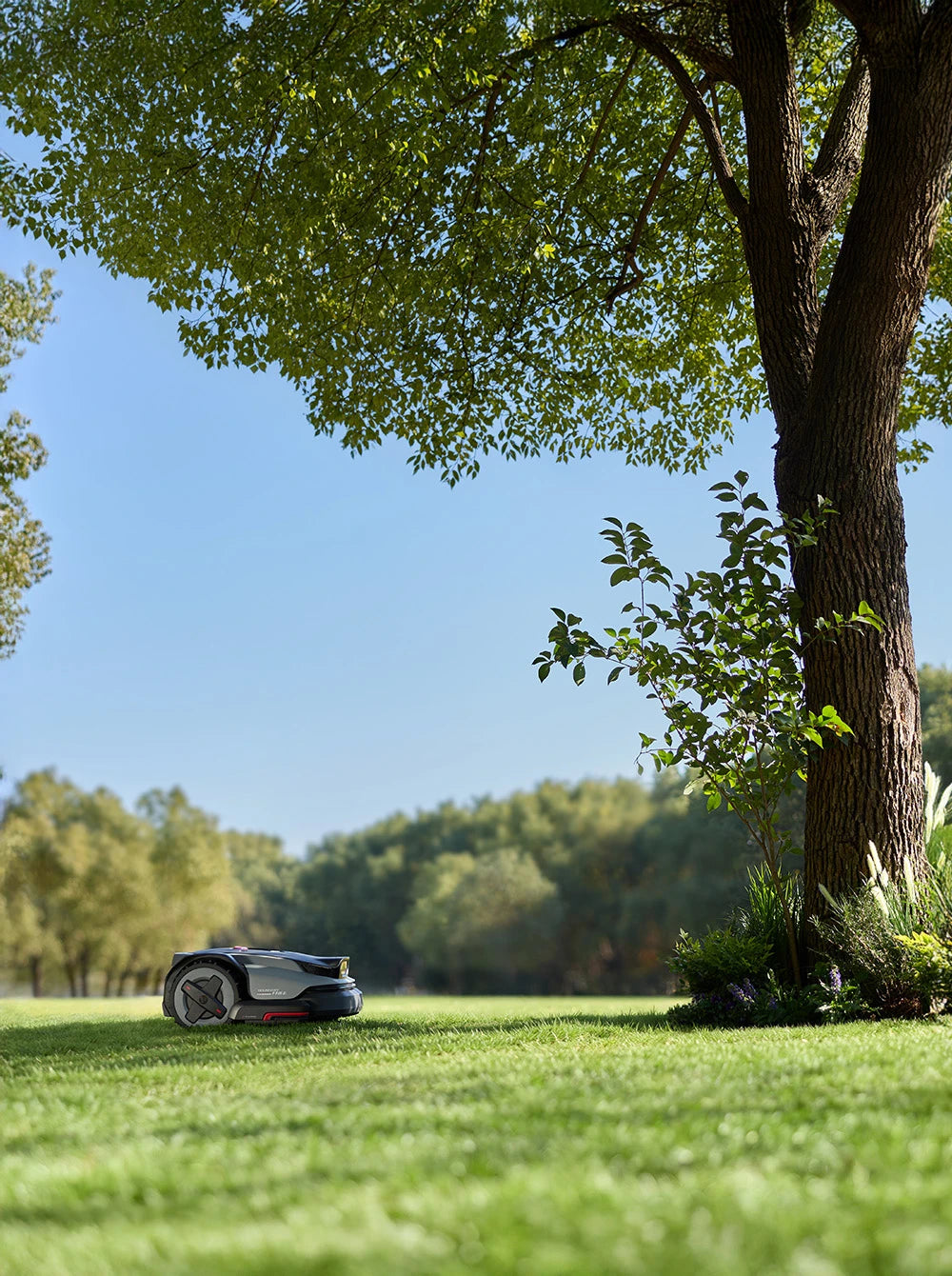Robotic lawn mower on a grassy lawn with trees in the background