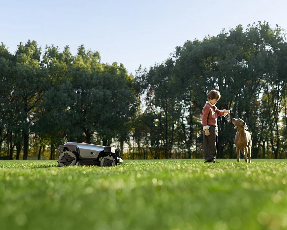 A robotic lawnmower sits on a green lawn in a park, with a young boy feeding a dog in the background near trees.